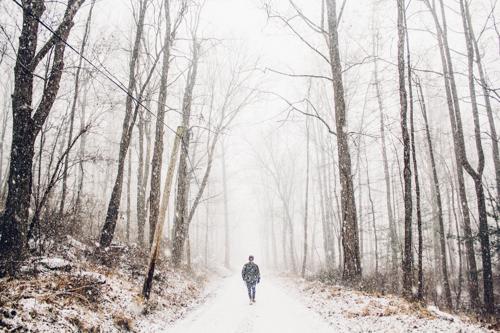 Marche hiver.jpg
